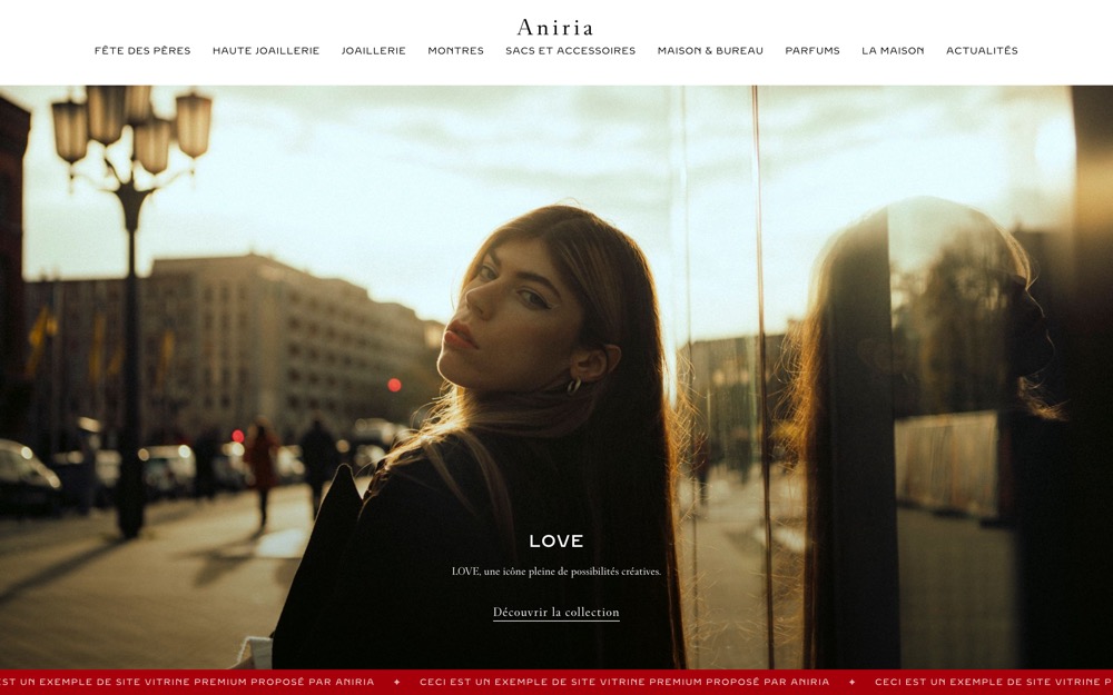 Site vitrine premium